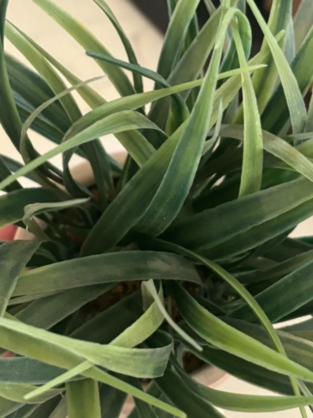 Neutral Faux Grass